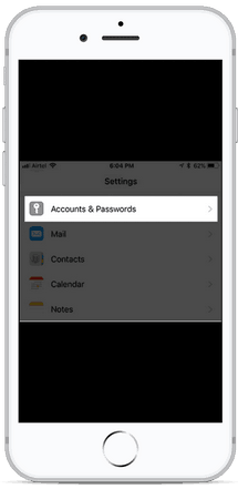 Accounts & Passwords Option On iPhone